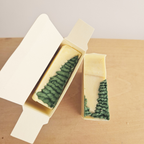 Citrus Fir Goat Milk Soap