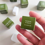 Nordic Forest Mini Shower Steamer