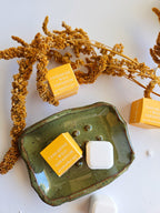 Tangerine + Wild Geranium Mini Shower Steamer